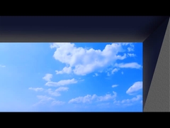 নগ্ন চোখের 3D বিজ্ঞাপন নেতৃত্বাধীন প্রদর্শন পর্দা